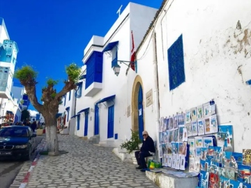 C:/Users/EDY/Desktop/圖片/突尼斯摩洛哥/藍白小鎮SIDI BOU SAID.png藍白小鎮SIDI BOU SAID